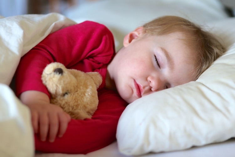 Ребенок не спит в детском саду - малыш сладко спит с медвежонком в руках
